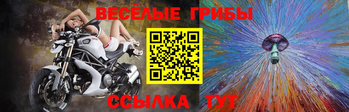 Каменка  Галлюциногенные грибы Psilocybe  Псилоцибиновые грибы мицелий  Вход с VPN 