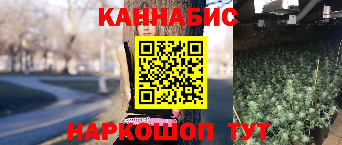 Конопля THC 21%  Бошки Шишки AK-47  Канабис конопля  Вход с VPN  Каменка 